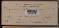 Image Associated With the Occurence